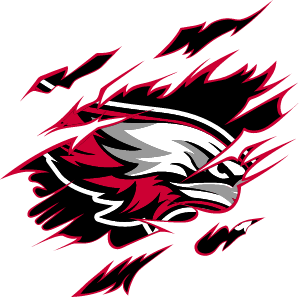 Fowler Falcons logo